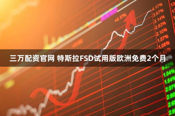 三万配资官网 特斯拉FSD试用版欧洲免费2个月